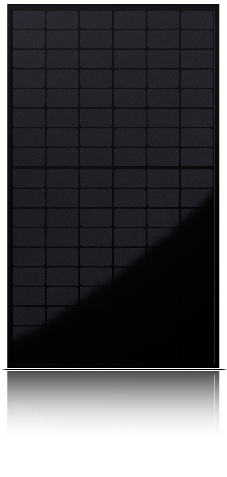 Jinko Tiger Neo All-Black